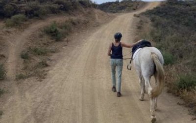 What Horses Have Taught Me About Fear