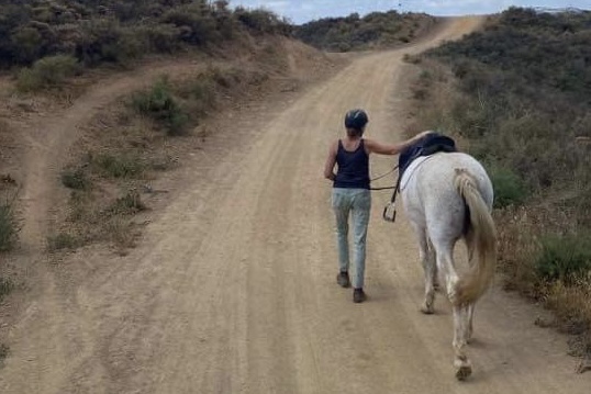 What Horses Have Taught Me About Fear