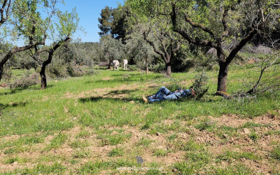 Simple Doesn’t Mean Basic: How the Uncomplicated Moments With Your Horse Can Be the Most Profound